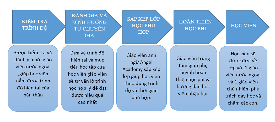 Quy trình học